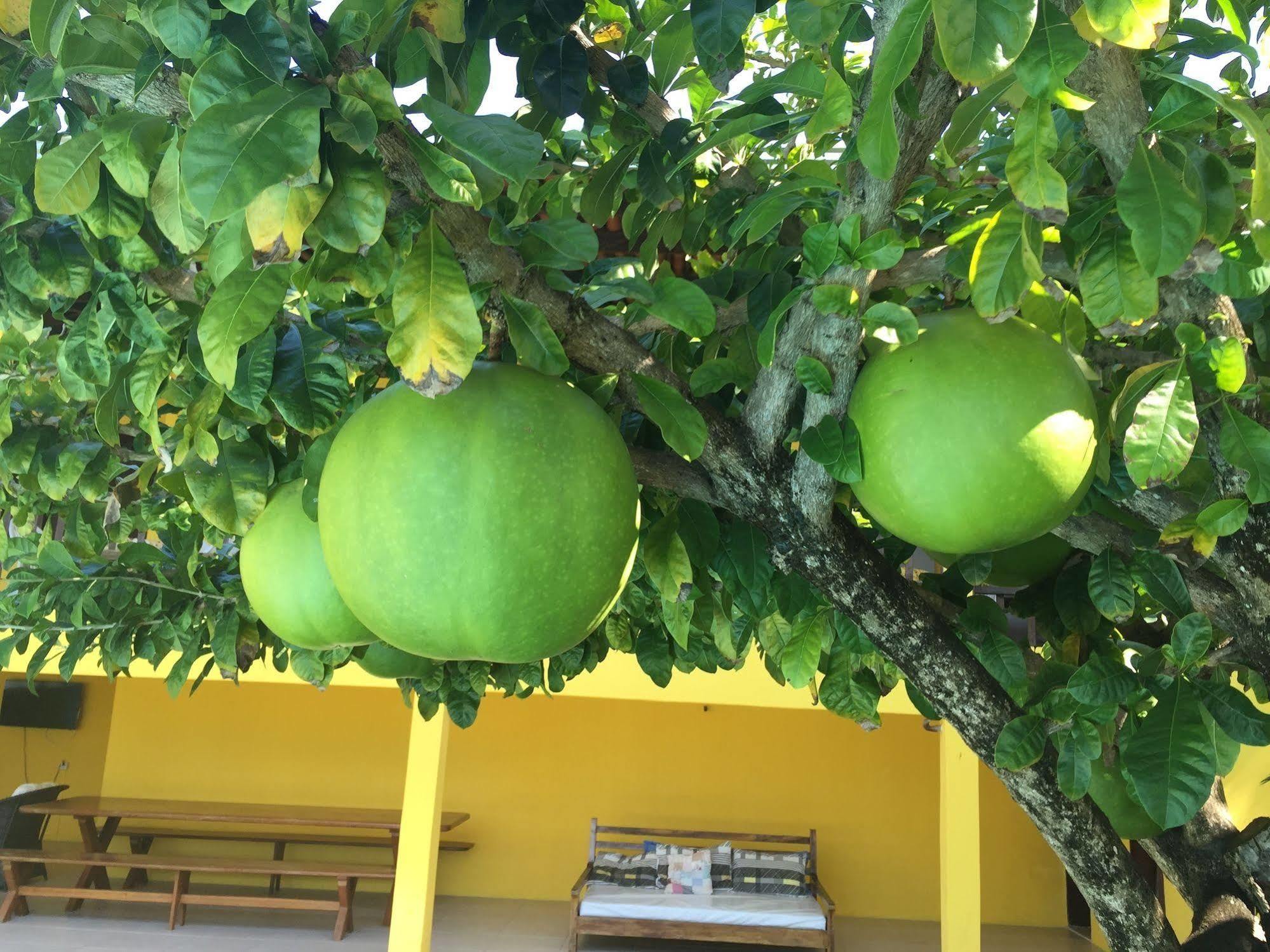 Guest house Simone Pium (Rio Grande do Norte)